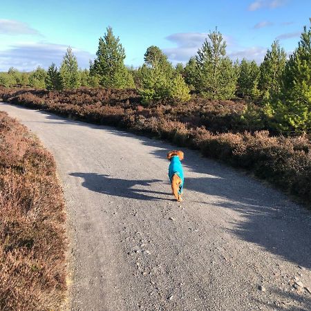 Vila Ventoux Aviemore Exteriér fotografie
