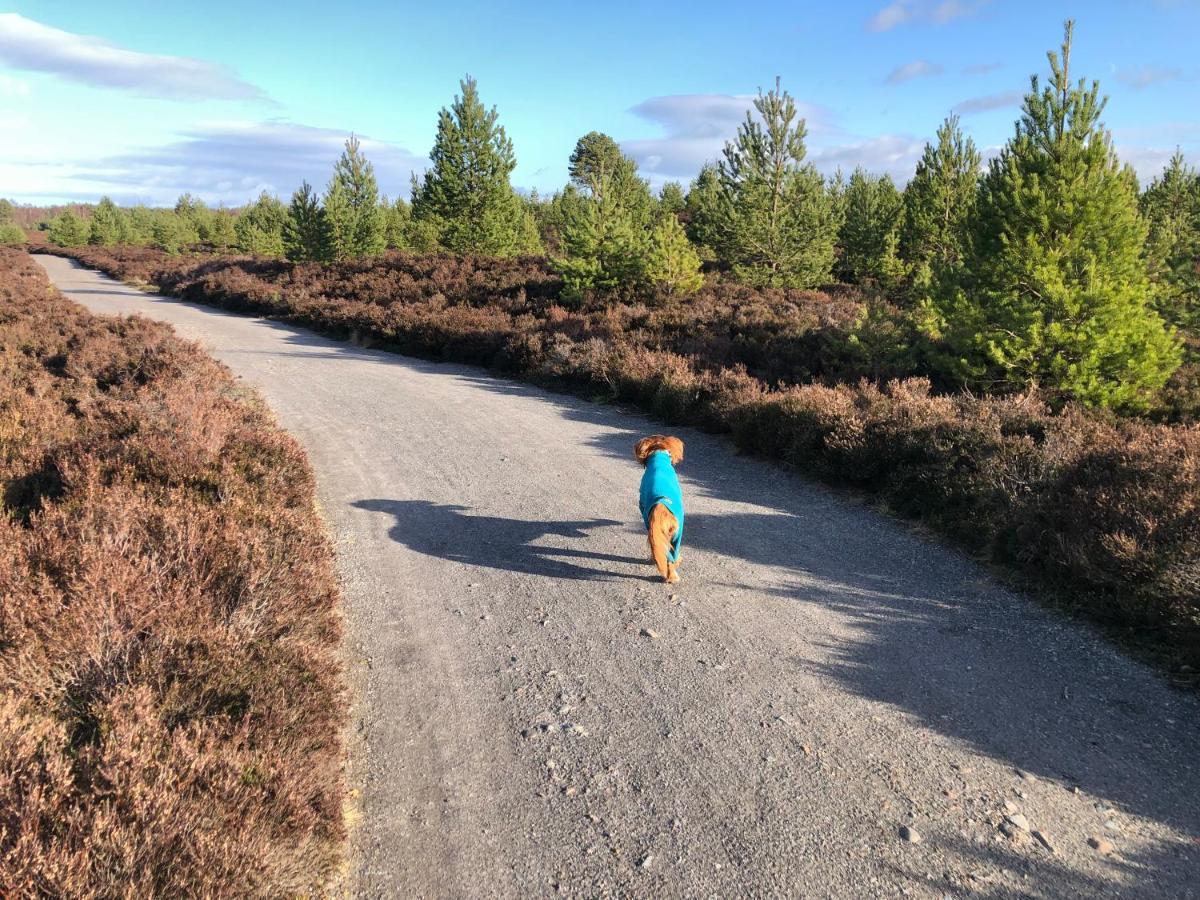 Vila Ventoux Aviemore Exteriér fotografie